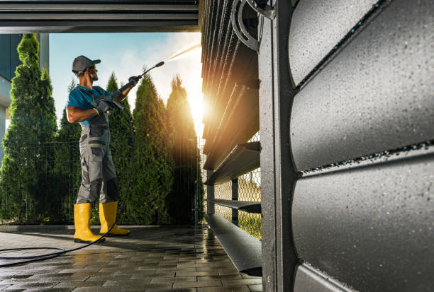 Best Soft Washing for Delicate Surfaces in Fort Dodge, IA